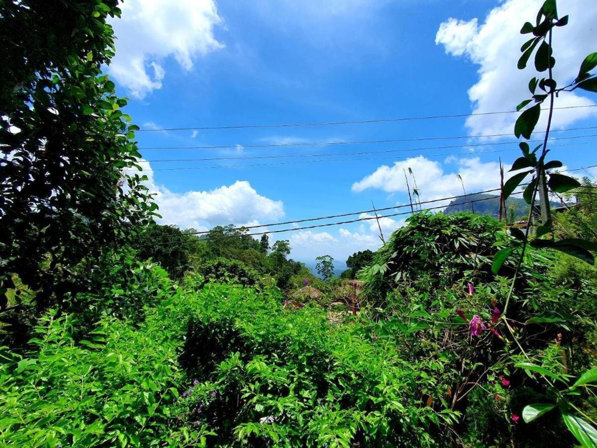 Sunbeam Homestay 엘라 외부 사진